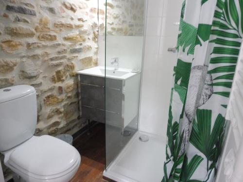 Appartement Studio de charme au centre ville 43 Rue Elysée Coustere 64270 Salies-de-Béarn Aquitaine