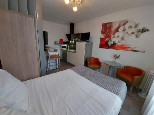 Studio de charme, Coeur de Vichy, quartier calme