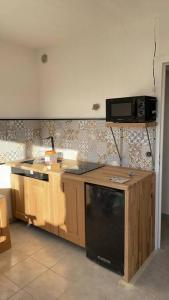 Appartement studio de la plage 1 Rue Dominique Ingres 66750 Saint-Cyprien Languedoc-Roussillon