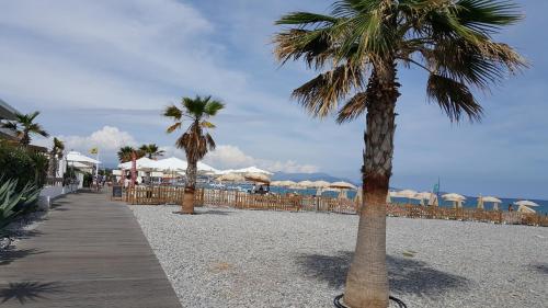 Studio des Anges