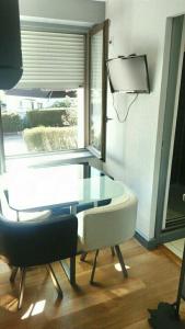 studio des écureuil
