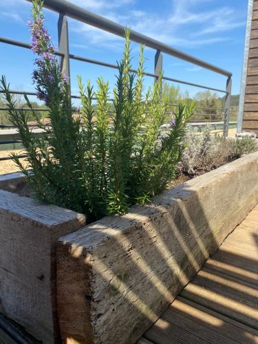 Studio Dolce Vita Aix en Provence