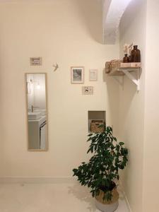 Studio du Grand Beaumont