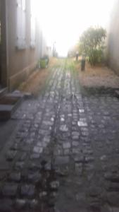 Studio Dumas