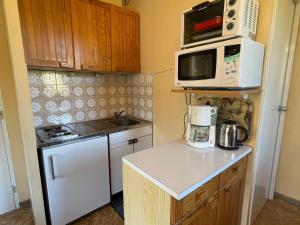 Studio Enchastrayes, 1 pièce, 4 personnes - FR-1-165A-88