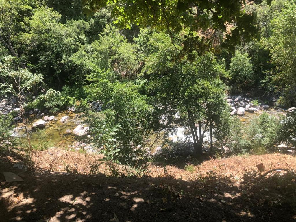 Studio Enchastrayes, 1 pièce, 4 personnes - FR-1-691-11 04400 Enchastrayes