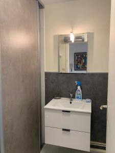 Studio entièrement rénové 7 Rue du Stade Résidence L'Orée de la Genette