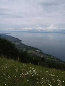 STUDIO entre ciel et Lac
