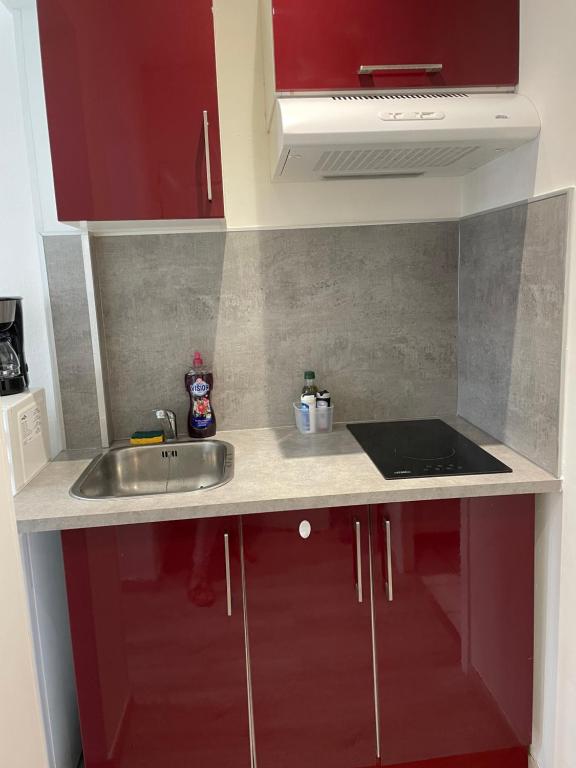 Studio Font-Romeu-Odeillo-Via, 1 pièce, 4 personnes - FR-1-580-88 66120 Font-Romeu-Odeillo-Via