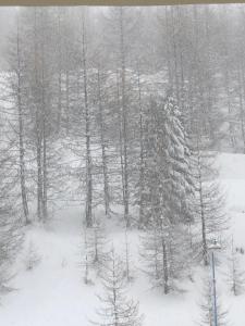 Studio Front de neige Isola 2000 29 m2 avec balcon