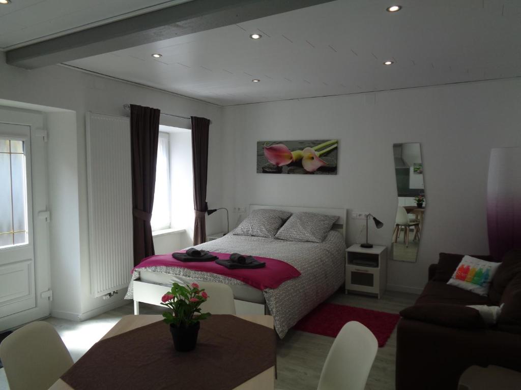 Appartement Studio Gite Fischer Ottrott 28 Rue principale 67530 Ottrott