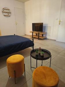 Appartement Studio Glamour avec espace balnéo privé 17 Rue Gustave Chambige 63111 Dallet Auvergne