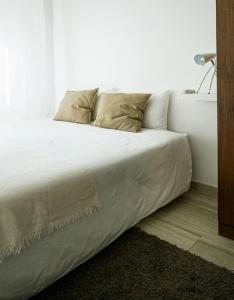 Studio Graça