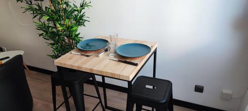 **Studio Holidays** Centre ville 20 m2