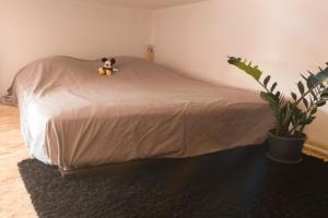Studio hyper centre (pros et vacanciers)