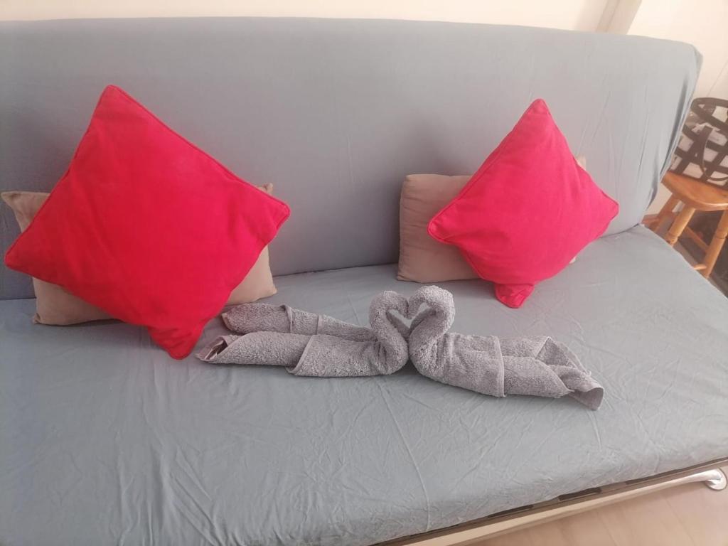 Studio in the heart of Cannes! 45 Rue Victor Cousin, 06400 Cannes
