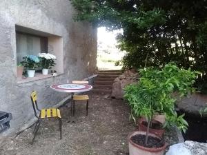 Appartement Studio indépendant dans Ferme Equestre 1503 Route de Moissac 83630 Aups Provence-Alpes-Côte d\'Azur