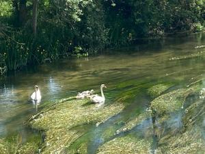 Studio Indre, La halte de Cuzé, aux abords de la Loire à vélo