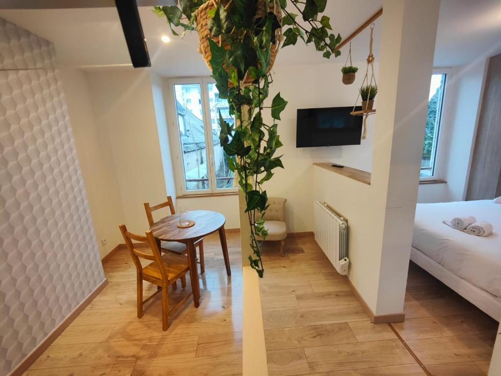 Appartement Studio Ivoire - 900m Gare d'Orléans 110 Rue du Faubourg Bannier 45000 Orléans