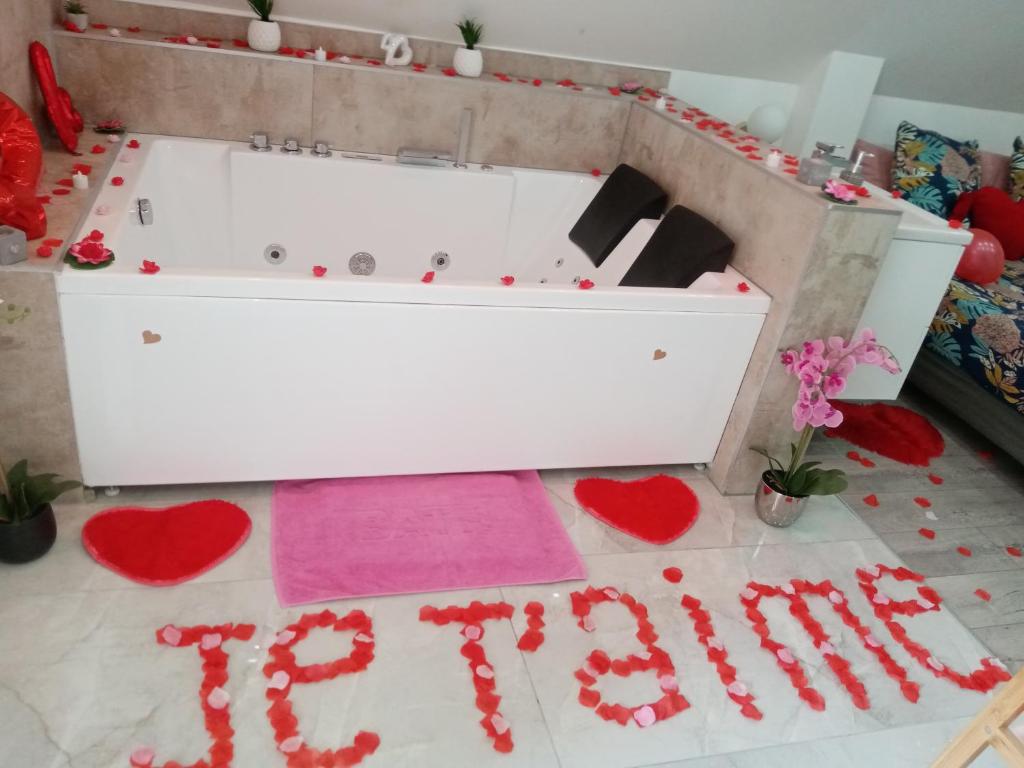 Appartement Studio Jacuzzi au centre Colmar 73 Avenue d'Alsace 68000 Colmar