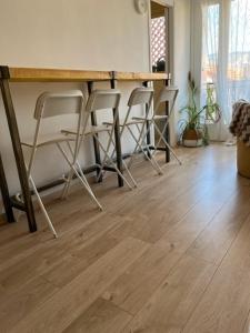 Studio Jungle au Mourillon