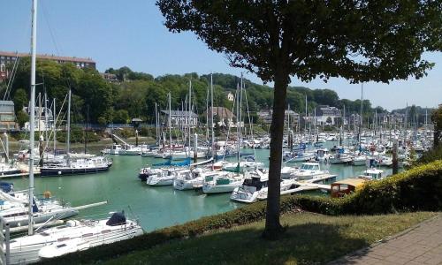 Studio L'orée du port