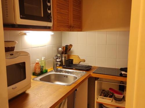 Studio La Bourboule, 1 pièce, 1 personne - FR-1-667-11