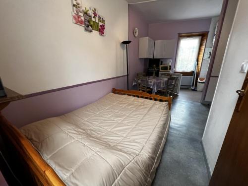 Studio La Bourboule, 1 pièce, 2 personnes - FR-1-667-41