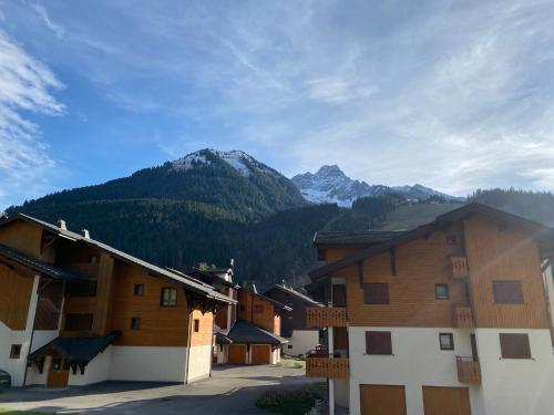 Studio La Chapelle-d'Abondance, 1 pièce, 4 personnes - FR-1-692-65