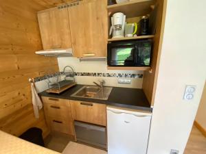 Studio La Clusaz, 1 pièce, 4 personnes - FR-1-459-194