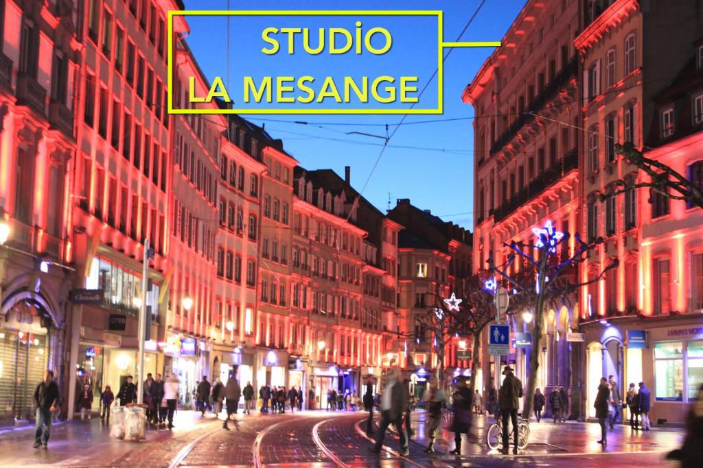 Appartement Studio La Mésange 13 rue de la mésange 67000 Strasbourg