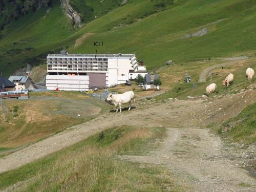 Studio La Mongie, 1 pièce, 4 personnes - FR-1-404-101