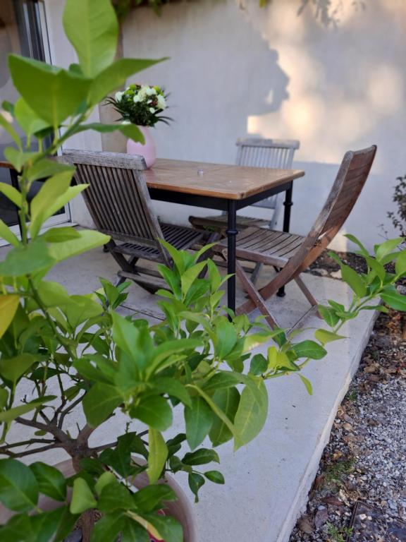 Studio La Mongie, 1 pièce, 4 personnes - FR-1-404-210 65200 La Mongie