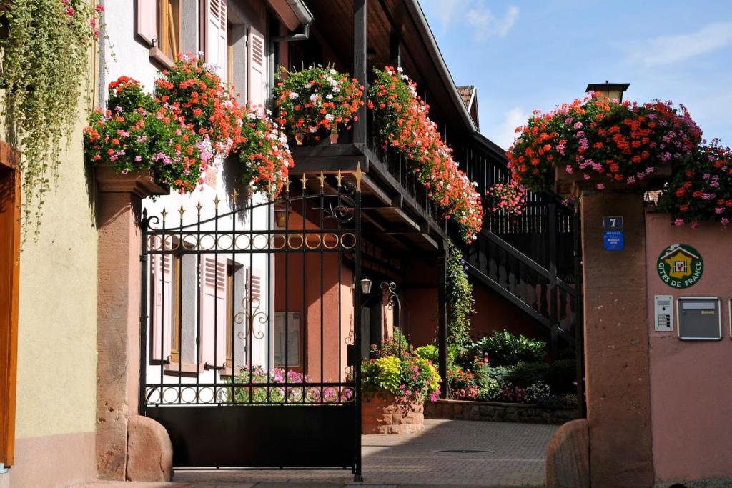 Studio La Plagne, 1 pièce, 4 personnes - FR-1-181-2643 73210 La Plagne Tarentaise