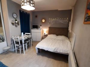 Studio La Roche-Posay, 1 pièce, 4 personnes - FR-1-541-41