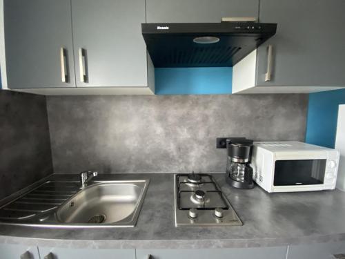 Studio La Roche-Posay, 2 pièces, 2 personnes - FR-1-541-82