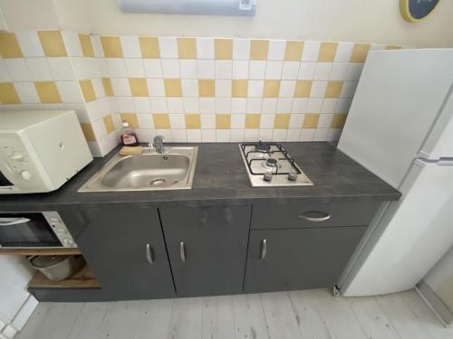 Studio La Roche-Posay, 3 pièces, 2 personnes - FR-1-541-84