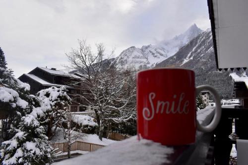 Studio Le 4122 - Chamonix centre Clos du Savoy