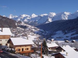 Studio Le Grand-Bornand, 1 pièce, 4 personnes - FR-1-458-100