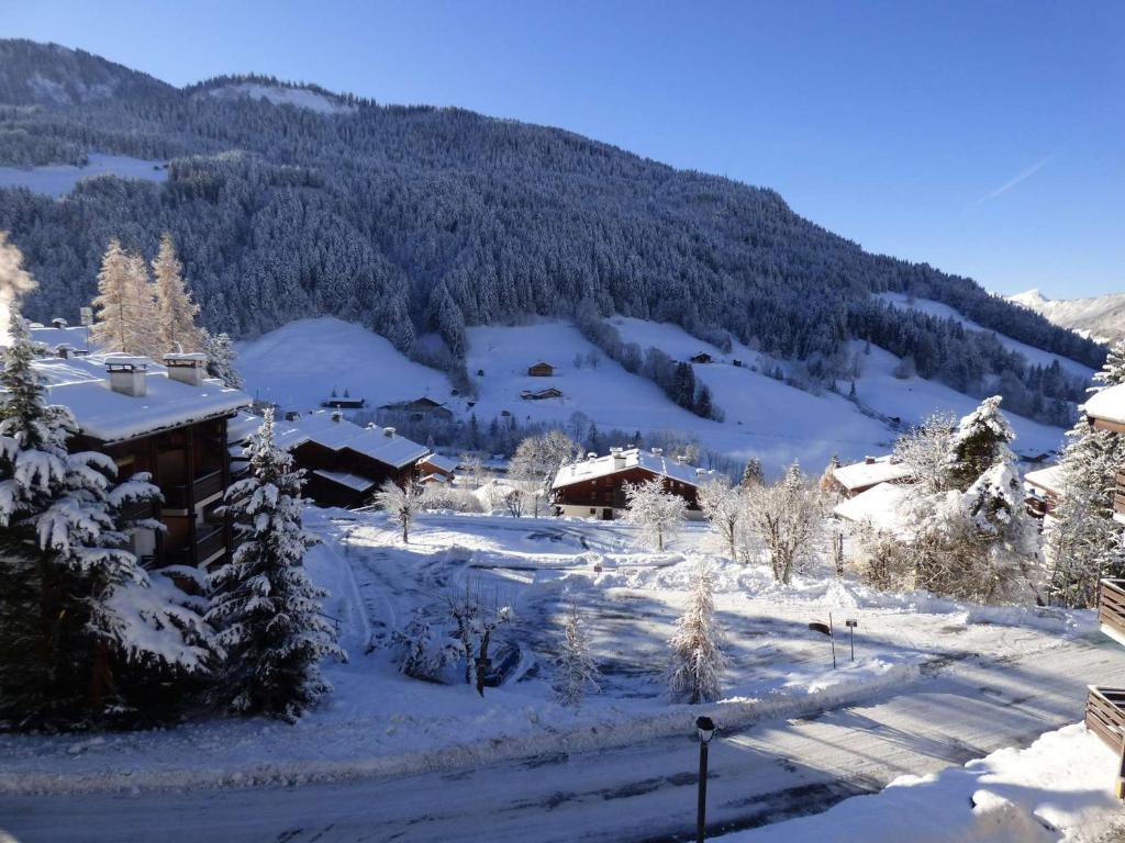 Appartement Studio Le Grand-Bornand, 1 pièce, 4 personnes - FR-1-458-154 841 ROUTE DU NANT ROBERT 74450 Le Grand-Bornand