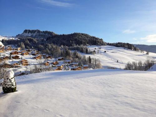 Studio Le Grand-Bornand, 1 pièce, 4 personnes - FR-1-458-163