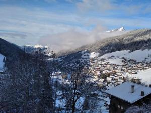 Studio Le Grand-Bornand, 1 pièce, 4 personnes - FR-1-458-166