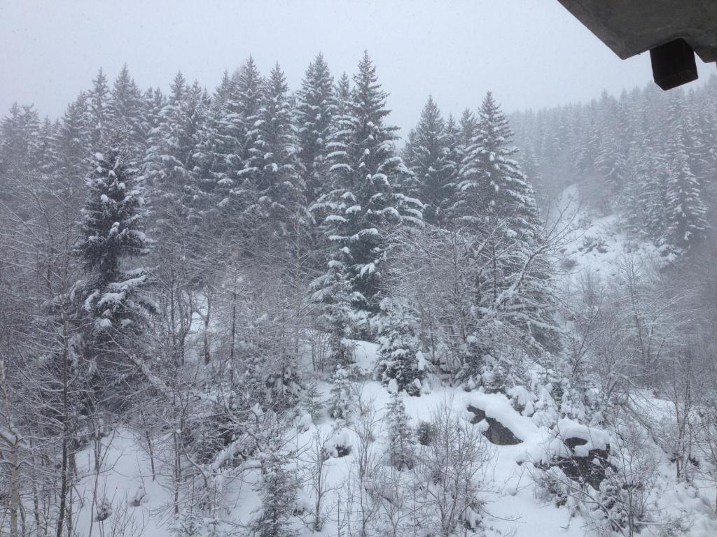 Studio Le Grand-Bornand, 1 pièce, 4 personnes - FR-1-467-104 74450 Le Grand-Bornand