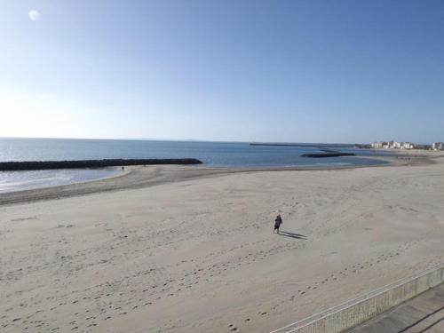 Studio Le Grau d'Agde, 1 pièce, 4 personnes - FR-1-423-206
