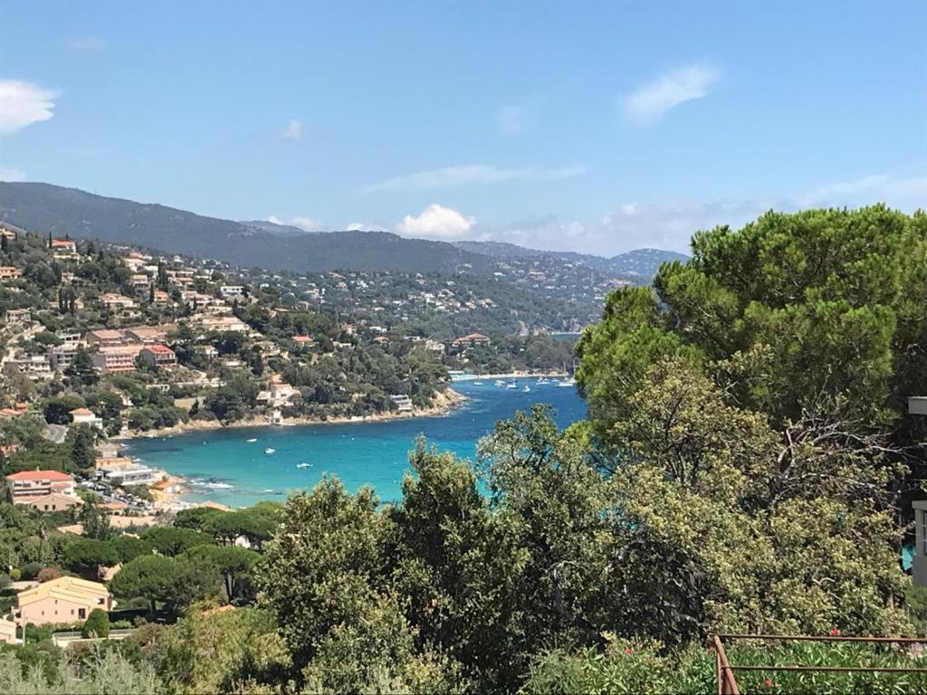 Appartement Studio Le Lavandou, 1 pièce, 2 personnes - FR-1-677-8 41 Bd des hautes collines résidence la Riviera appartement n° 3 83980 Le Lavandou