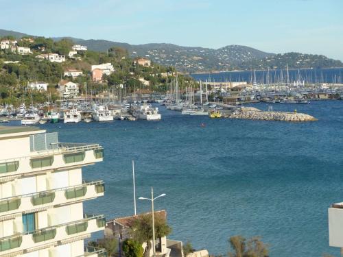 Studio Le Lavandou, 1 pièce, 4 personnes - FR-1-308-161