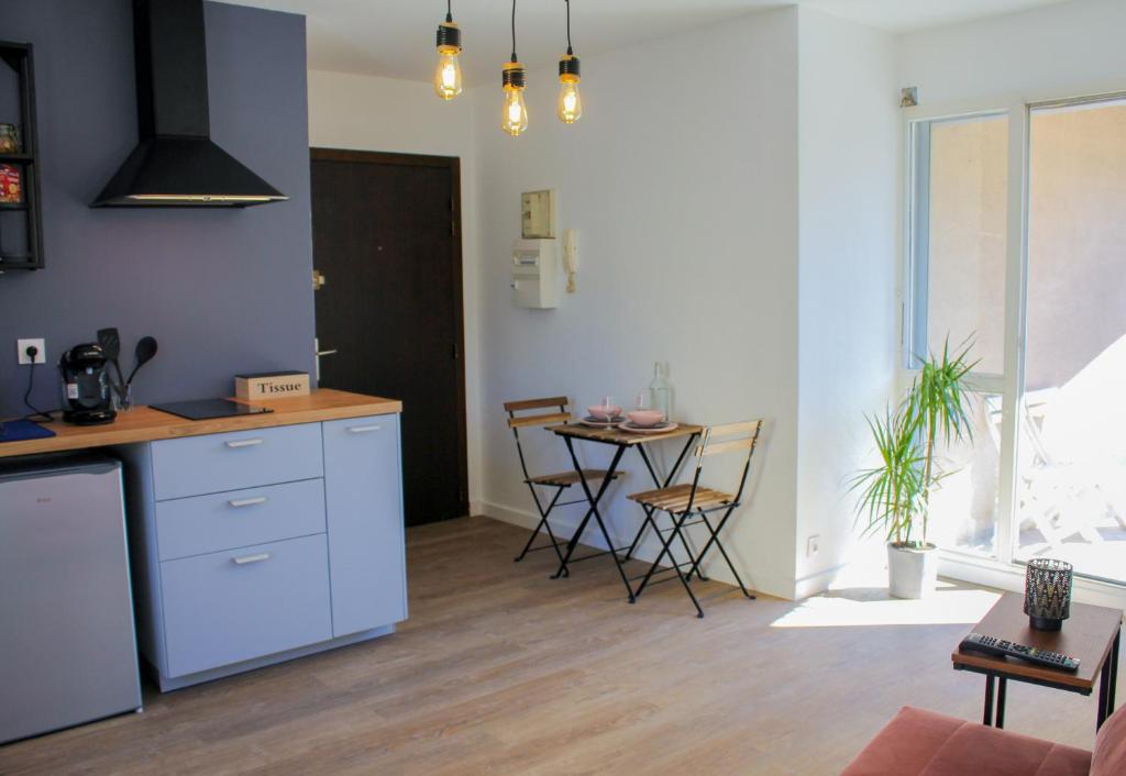 Appartement Studio Le P'tit Grenoblois - Parking couvert 89 Rue de Stalingrad 38100 Grenoble