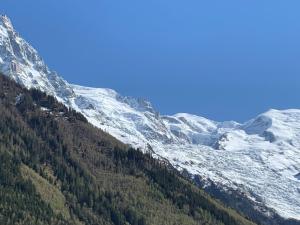 Appartement Studio Le Paccard-1  74400 Chamonix-Mont-Blanc Rhône-Alpes