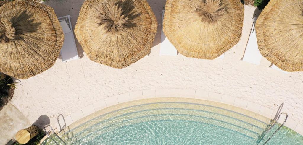 Studio Le Plum'Art, 10mn Zoo de Beauval, calme 41140 Noyers-sur-Cher