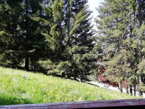 Studio Les Arcs 1800, 1 pièce, 5 personnes - FR-1-411-209